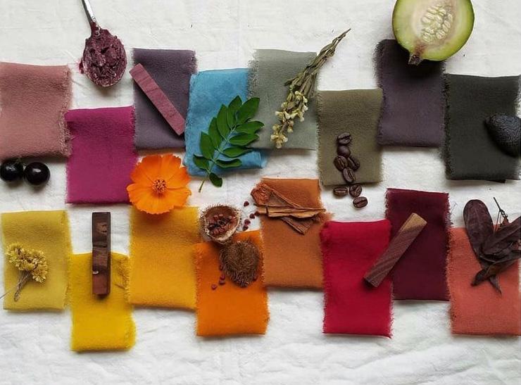 Foto: Juliana Allain/ Variedade de tons com plantas tintoriais