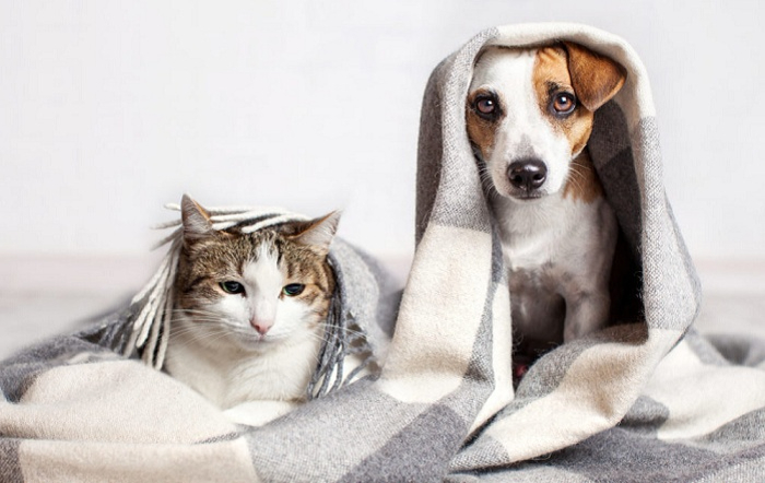 ViewImage_A-Lavoura-fotor-20230811114544