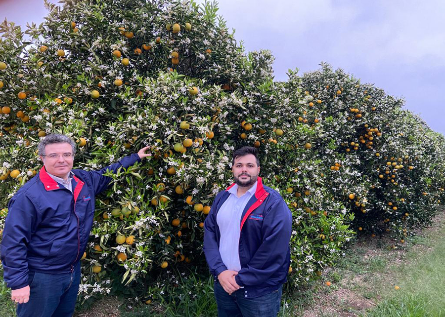 0 – FOTO ABRE -FOTO EMBRAPA -_EnxertosCitros SP_pesquisadores