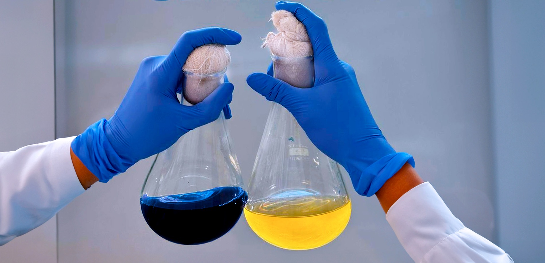 0 – FOTO ABRE -Foto tratada – Copia