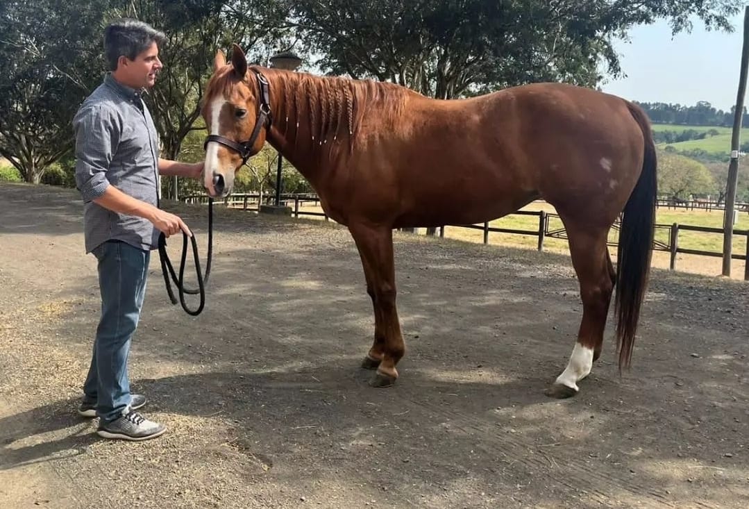 WhatsApp Image 2023-09-05 at 18.40.13