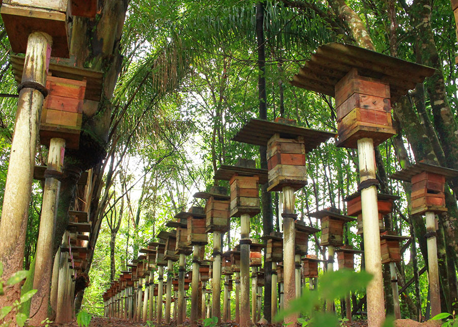 0 – FOTO ABRE – 231024_Infobee_Ronaldo_Rosa_fazendas