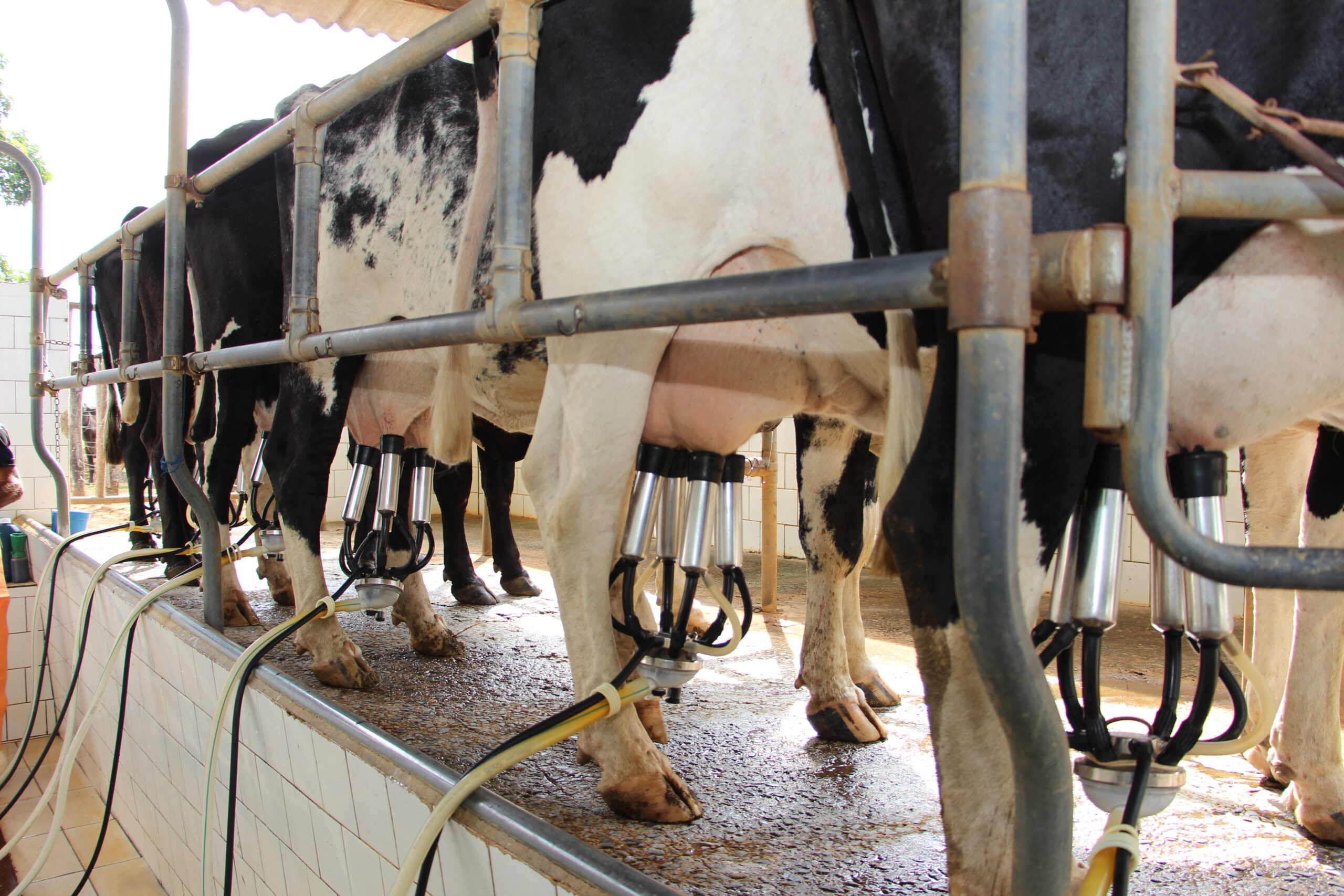 0 – FOTO ABRE -IMG_9069