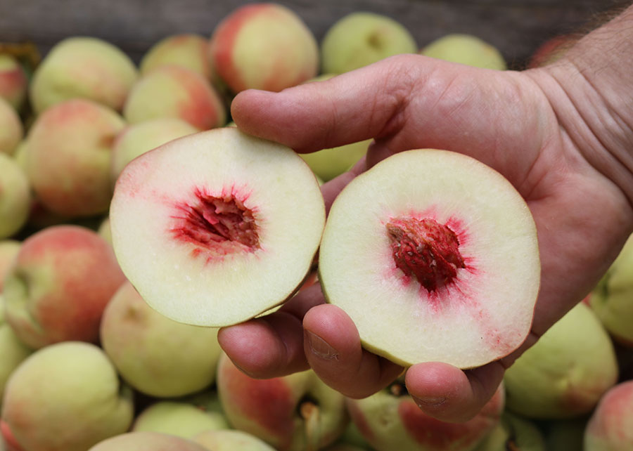 0-FOTO-ABRE-article-_1_