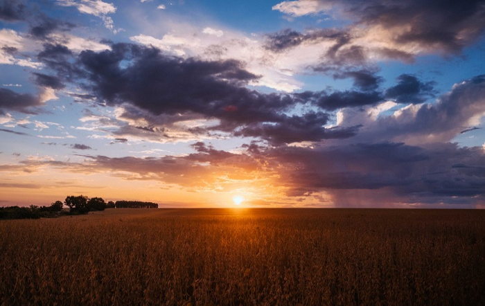 Crédito_shutterstock