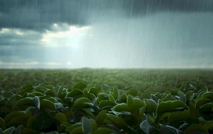 Foto_Divulgação Embrapa-fotor-site