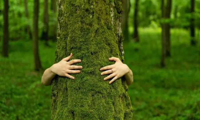 Foto_capa_Damian Lugowski_Shutterstock-