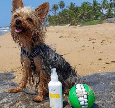 Foto_divulgação-site