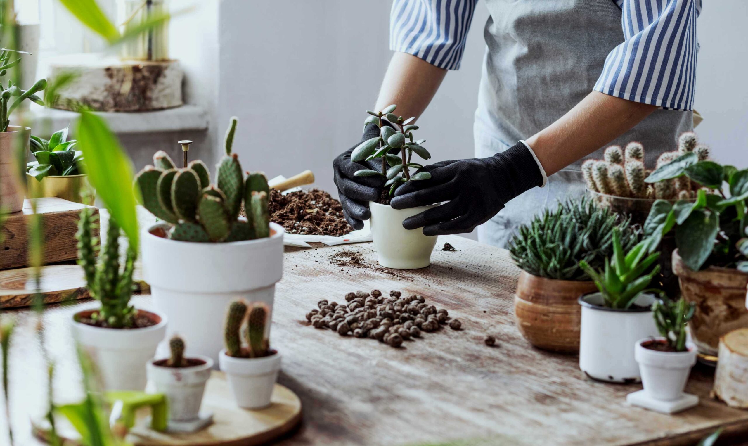 0 – FOTO ABRE – shutterstock_1177119043 – Copia