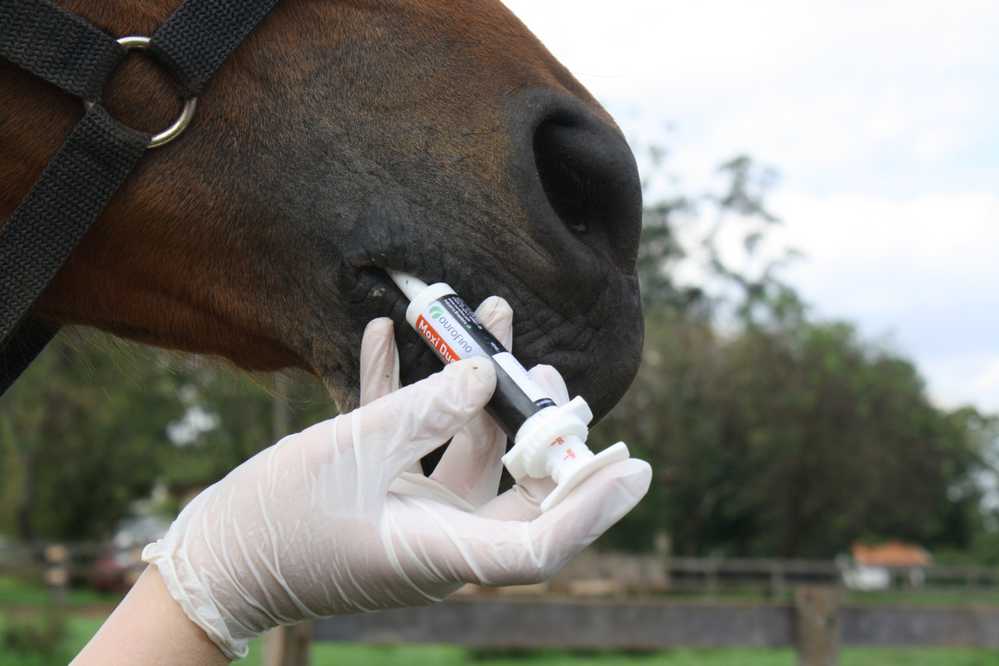 6810fc4fa6e29eb593f0c650c40af5d1