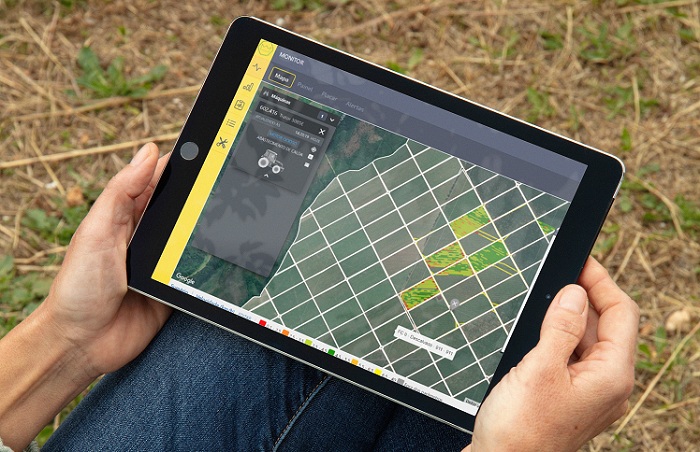 REX 01_site_divulgação