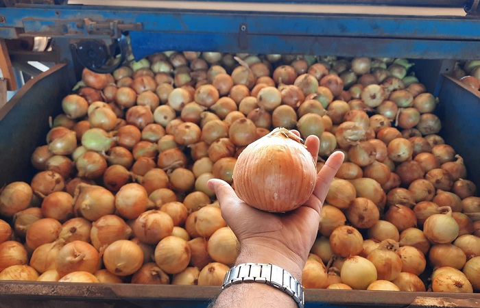 SAMURAI-004_Divulgação TopSeed