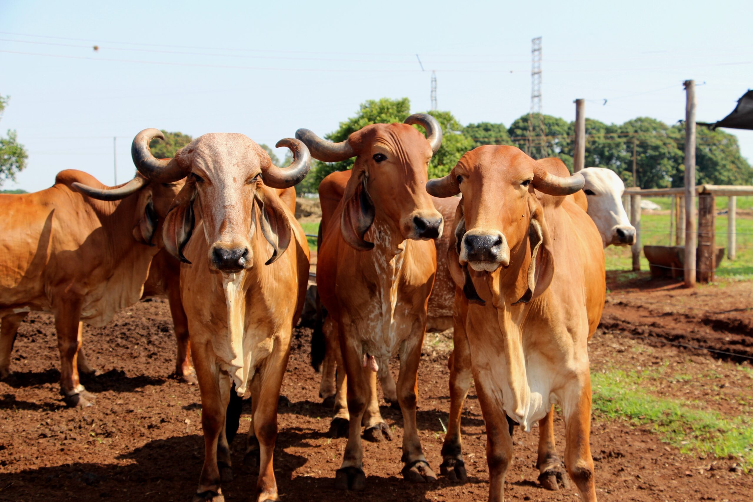 0 – FOTO ABRE – IMG_0048 – Copia