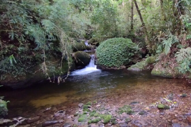 A Serra da Mantiqueira possui a maior concentração de água mineral do planeta_site