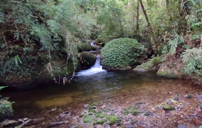 A Serra da Mantiqueira possui a maior concentração de água mineral do planeta_site