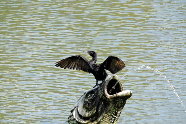 0 – FOTO ABRE -Biguá_local Sesc Itaquera_Foto Felipe Fantacini – Copia