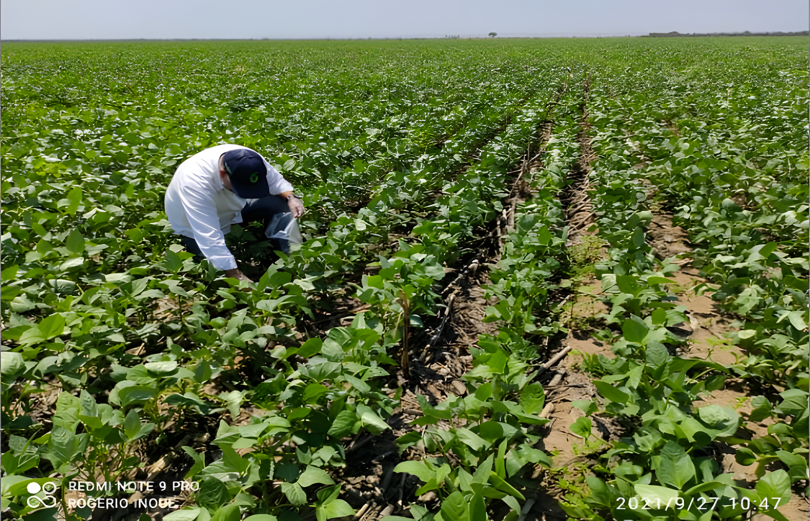 B4A-divulgacao-fotor-20240430115412 (1)_upscayl_4x_realesrgan-x4plus