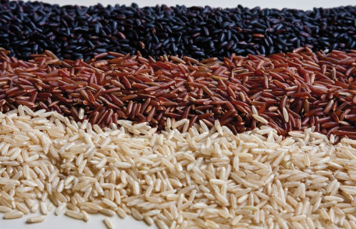 arrozintegral-USP-site