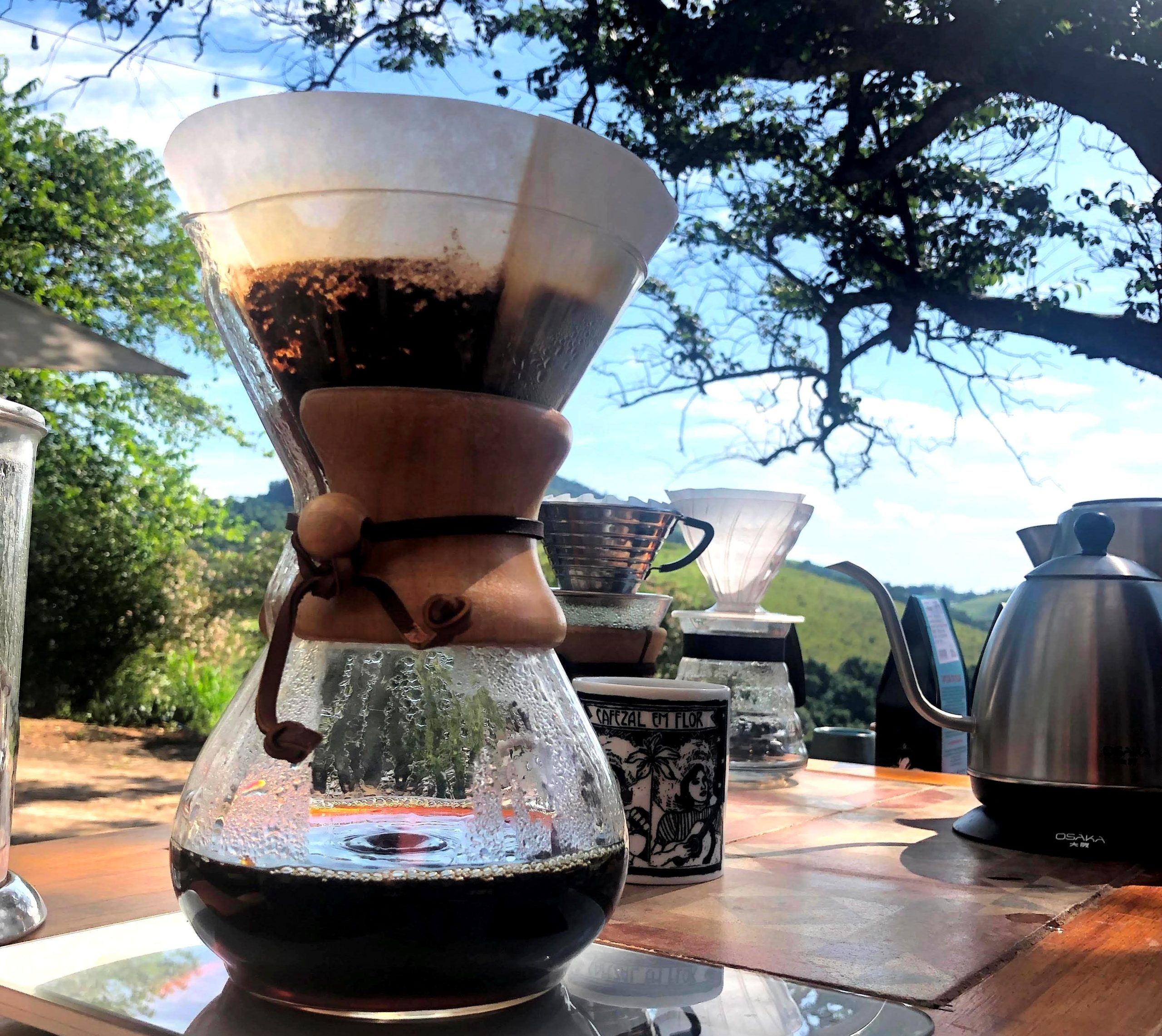 0 – FOTO ABRE -FESTIVAL CAFÉ SERRA NEGRA SP- a (1)