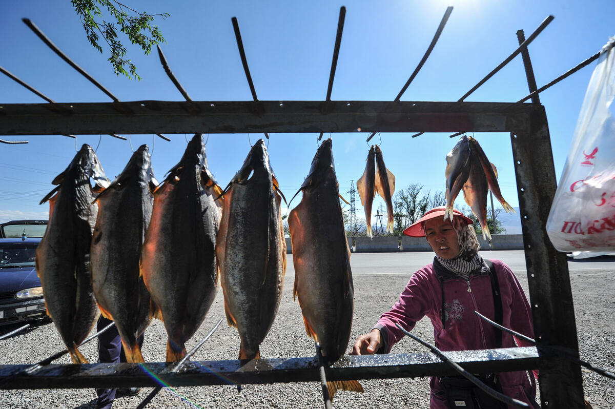 "Towards Sustainable Aquaculture and Fisheries Development in the Kyrgyz Republic" GCP /KYR/012/FIN