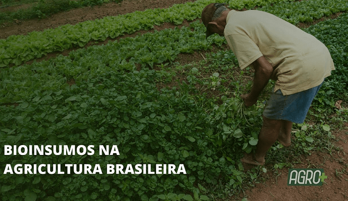 Agro Mais
