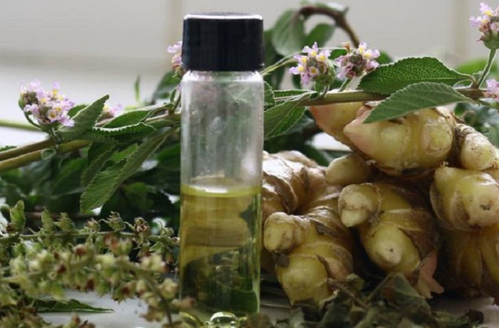 óleos essenciais_embrapa