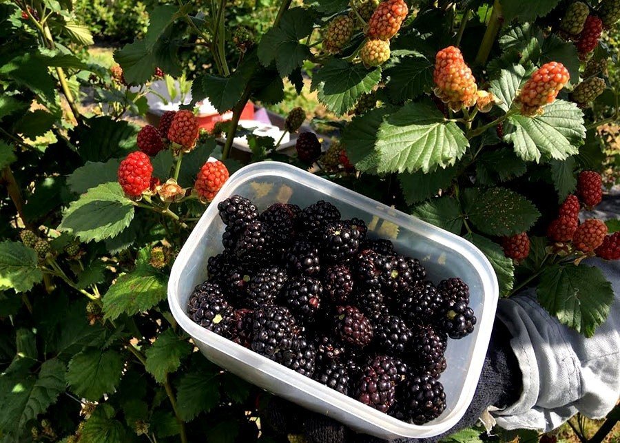 0-FOTO-ABRE-article-Copia-_2_