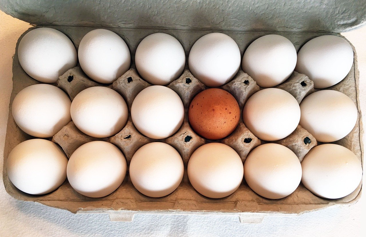 0 – FOTO ABRE – egg-carton-PIXABAY_1280