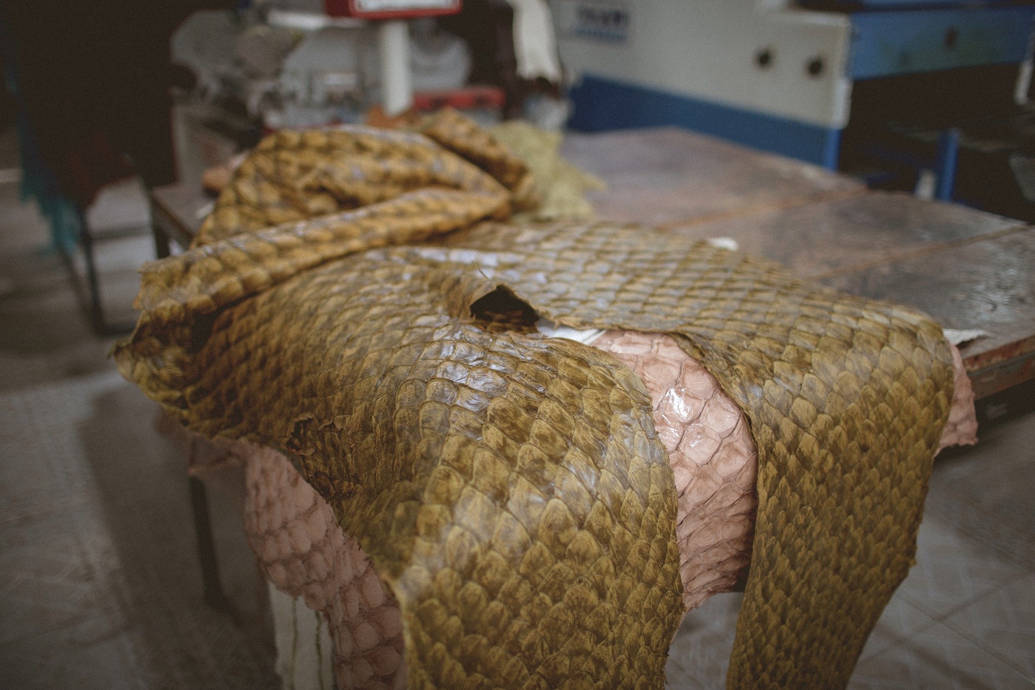 176880830_1010542516145630_5427823375908591329_n