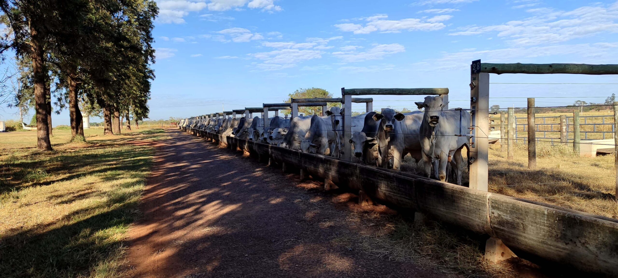 0 – FOTO ABRE – DESTAQUEs – Copia