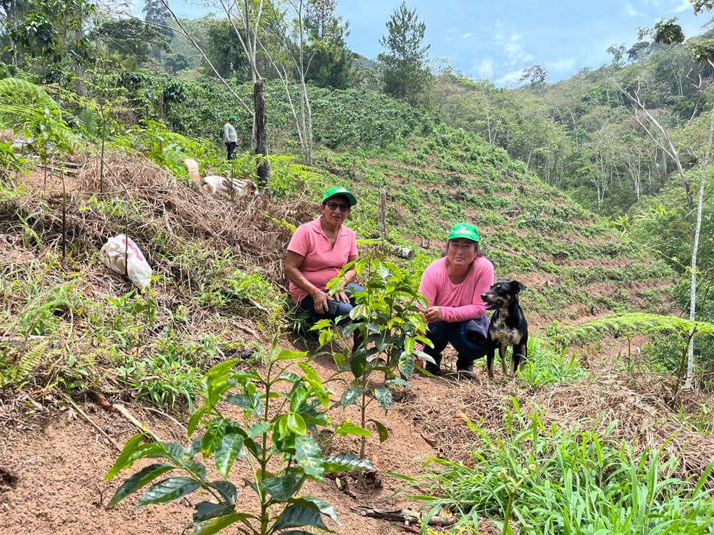 Satinaki – Café Conectado – Peru