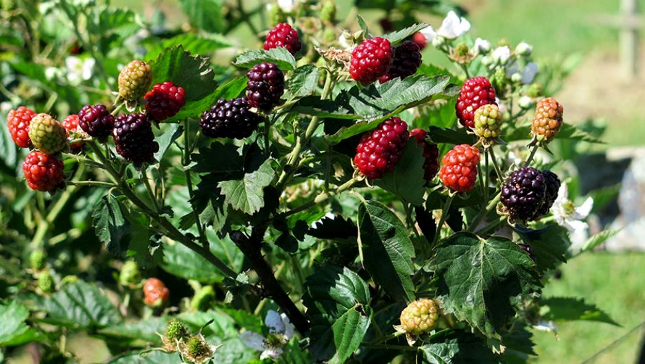 Foto site – interna (940 x 530) – 1