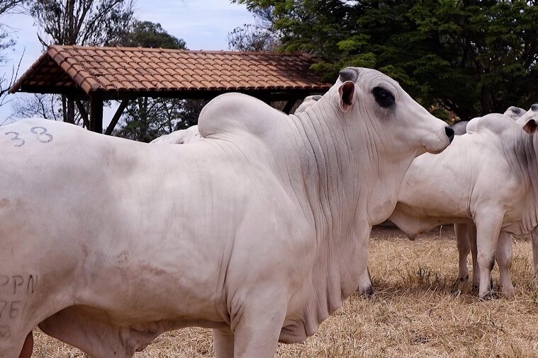 0 – FOTO ABRE – 124 – Copia