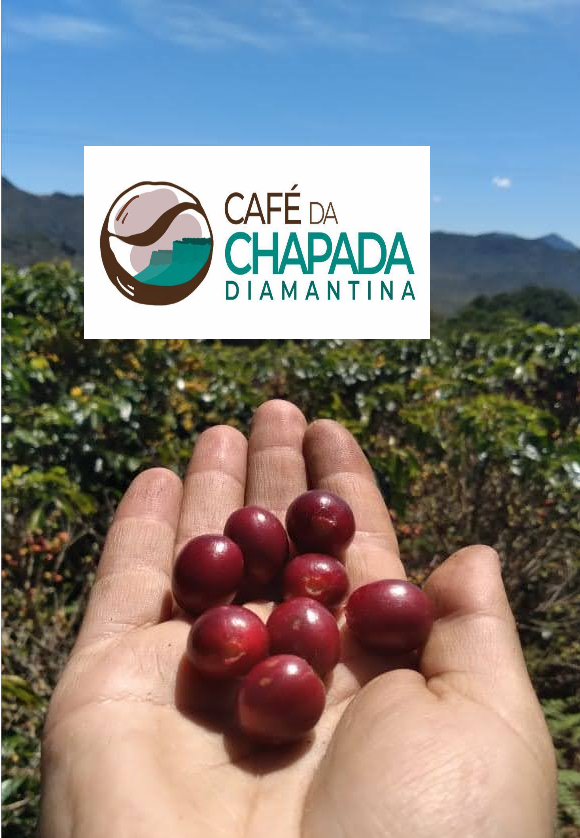 0 – FOTO ABRE -article (4) (1)