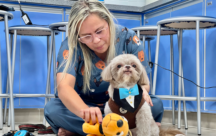 Pesquisadora, cao (Chokito 2)-site