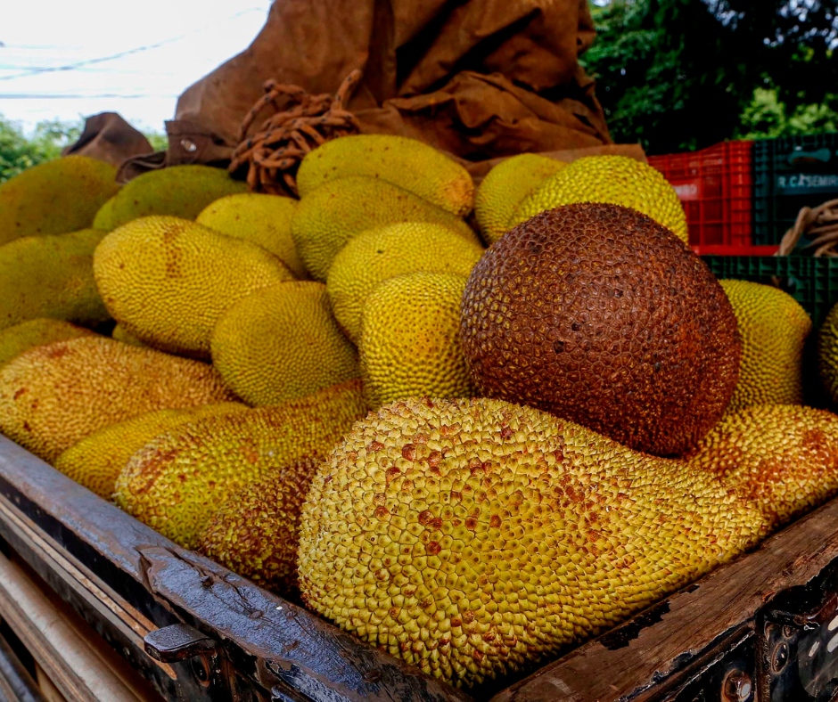 Design sem nome (18)