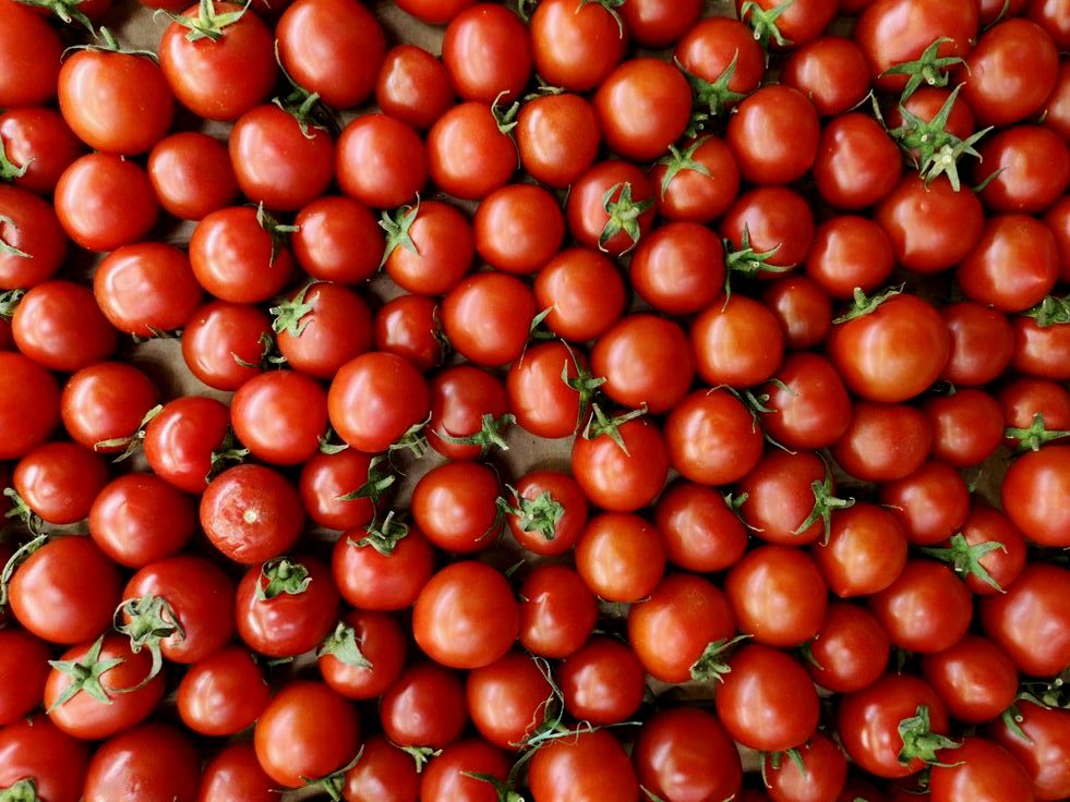 0 – FOTO ABRE – Tomate (1) – Copia