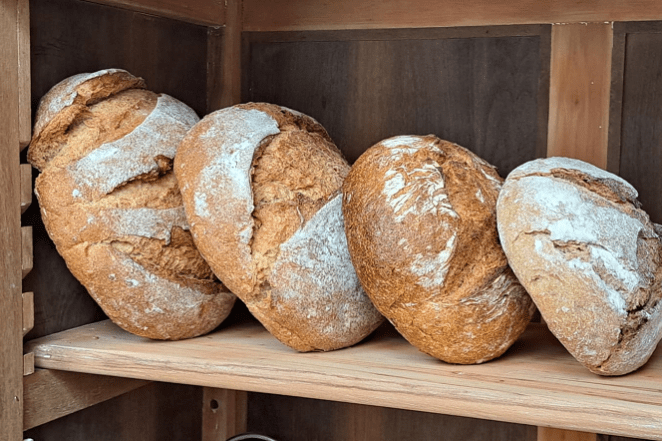 Broas-de-Centeio-de-Curitiba-02- divulgação Sebrae-site