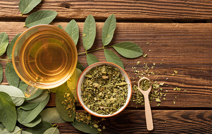 plantas medicinais-site