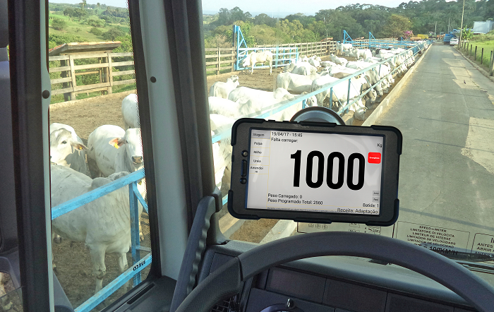 INSTALACAO CAMINHAO -divulgação-editado-site