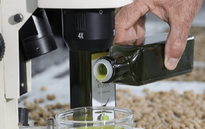 azeite_epamig-divulgação site