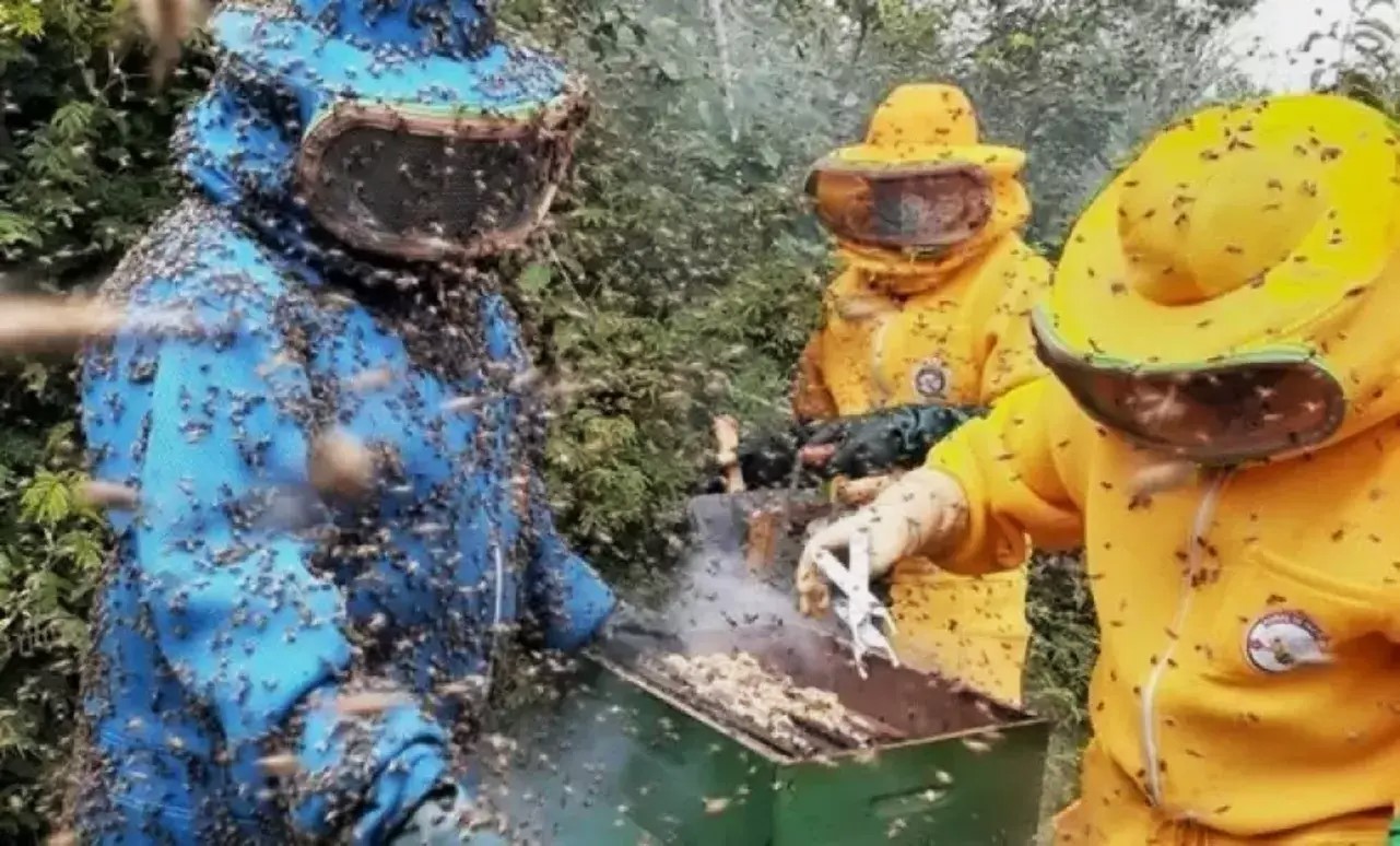 0 – FOTO ABRE -20250313050340_b Copia