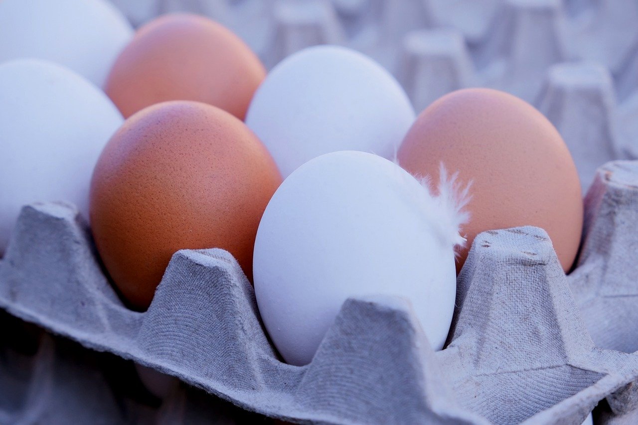 0 – FOTO ABRE – ESCOLHER UMA -eggs-7478859_1280 – Copia