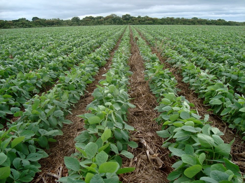 0- FOTO ABRE – article (16) – Copia