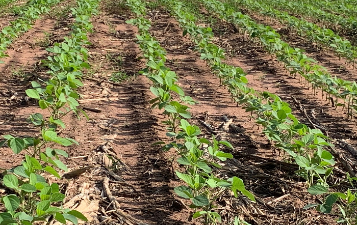 Foto-Carla Pizzolante-editado