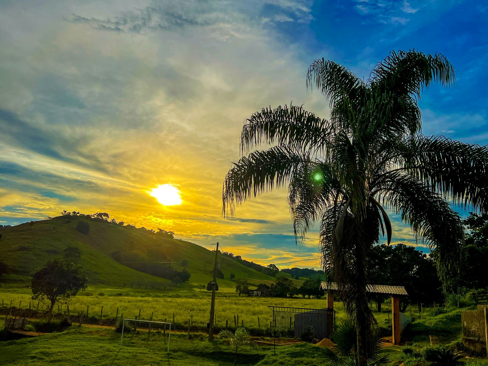 0 – FOTO ABRE – WA0039 – Marcia Ribeiro Toledo – Copia