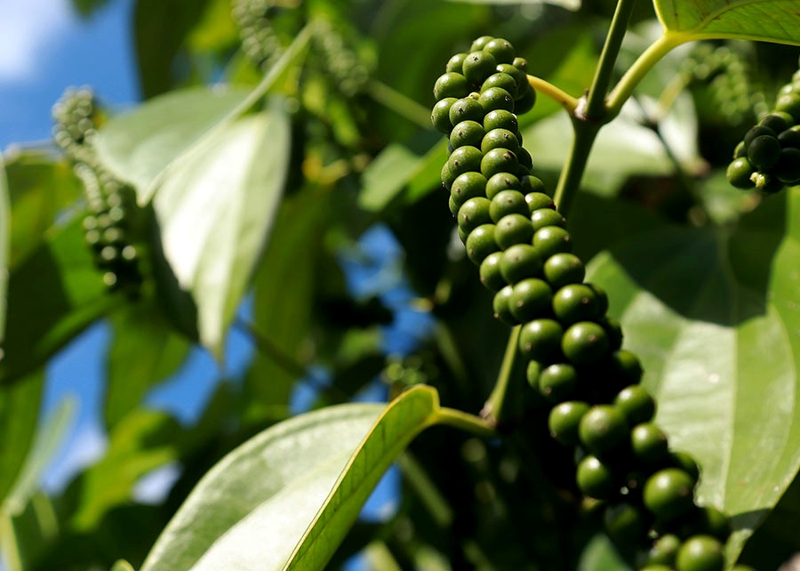 0 – FOTO ABRE – article (21)