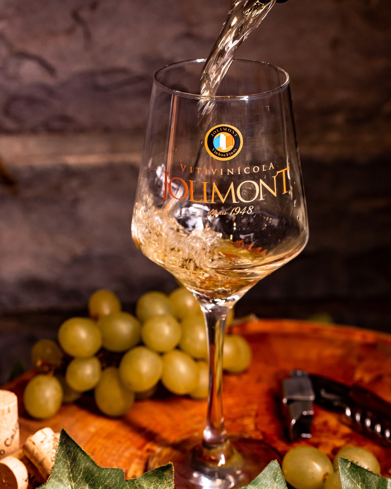 482058090_1058239353015148_4291300412920097083_n