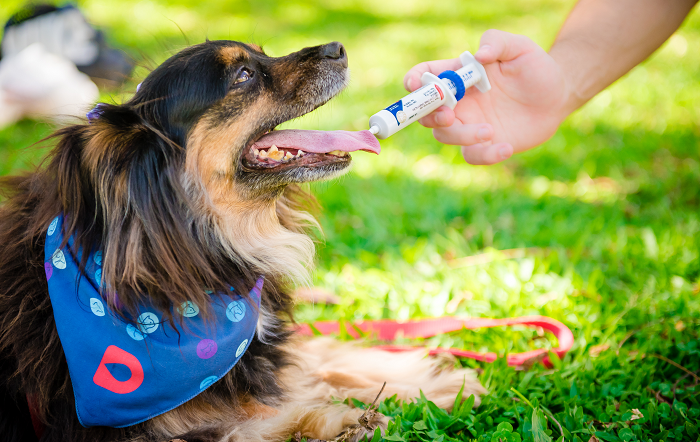 A-DrogaVET-manipula-uma-ampla-linha-de-nutraceuticos.-Foto-Priscilla-Fiedller-editado