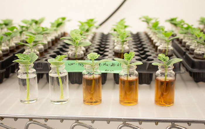 ACADIAN-Intensas-variacoes-climaticas-seja-com-estiagem-ou-chuvas-comprometem-a-saude-do-solo-A-resposta-esta-nas-biossolucoes-que-sao-eficazes-e-sustentaveis-Foto-Divulgacao-editado